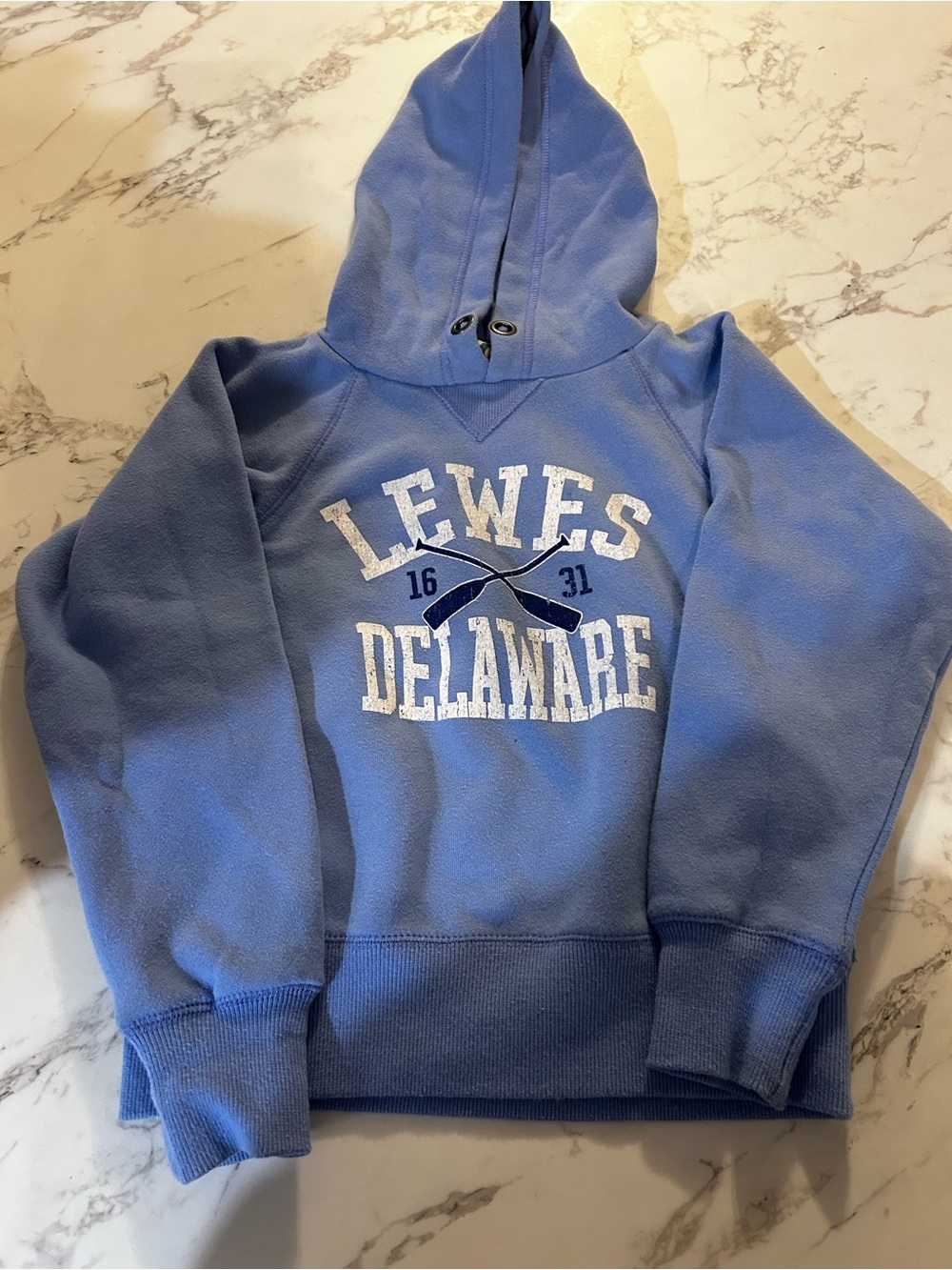 Blue 84 Light Blue Lewes Delaware Hooded Sweatshirt
